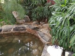 -中家鑫园温泉酒店鑫悦汤泉