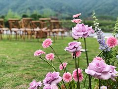 -龙坞茶村