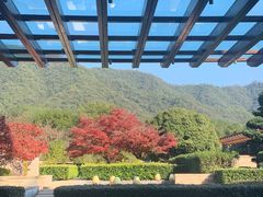 -逸廊大堂吧-下午茶·简餐-千岛湖自由洲际殿