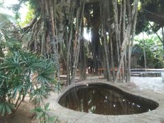 -龙达温泉生态城