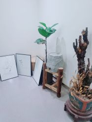 -康颜SPA自然疗愈皮肤管理中心