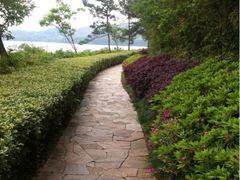 iphone_upload_pic-天目湖涵田度假村