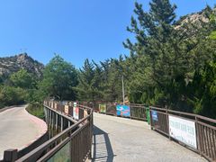 -西霞口神雕山野生动物世界