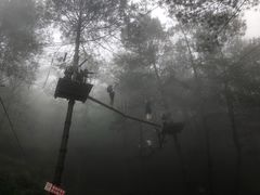 -梦幻奥陶纪景区