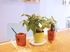 -猫的天空之城概念书店(北戴河蔚蓝海岸店)