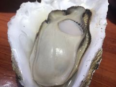 -千岛蚝高压锅生蚝·人参火锅(白云万达店)