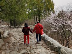 -阳台山自然风景区