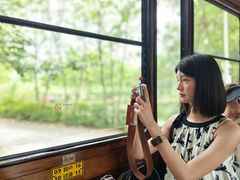 -合肥滨湖国家森林公园