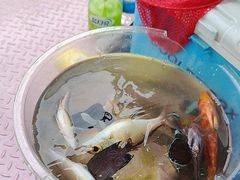 -小猫钓鱼海钓俱乐部(椰梦长廊店)