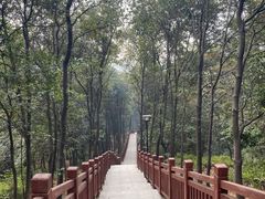 -南国桃园旅游度假区