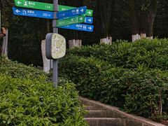 -火炉山森林公园