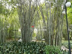 -晓港公园