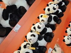 -熊猫邮局(少城店)