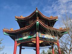 -白水寺森林公园