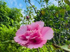 -广州神农草堂中医药博物馆