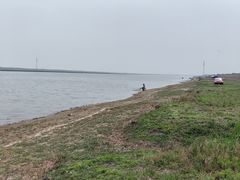 -大港湿地公园