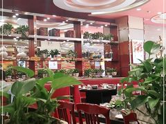 -蝎王府羊蝎子(西稍门店)