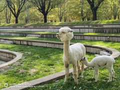 -安立路(地铁站)