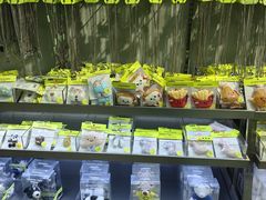 -HOWOW·D2Y(柏威年店)