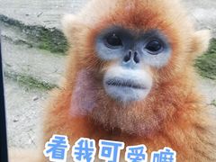 -大连森林动物园