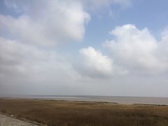 -南汇嘴观海公园