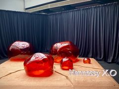 -精绝七日-新疆尼雅遗址数字大展【拉法耶文化艺术中心】