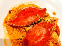 -连鹭海鲜·海肠捞饭·海胆饭(星海店)
