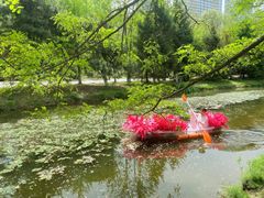 -长白岛森林公园