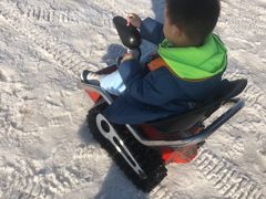 -绿野森林乐园冰雪季