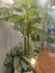 -八佰伴8008星级形象店