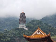 -深圳仙湖植物园