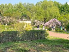-黑龙江省森林植物园