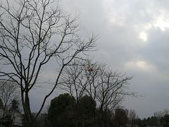 -杭州城北体育公园