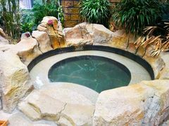 -悦隆庄温泉度假酒店