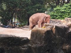 -广州动物园