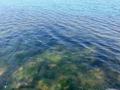 -丁香湖公园