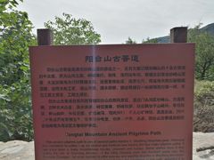 -阳台山自然风景区