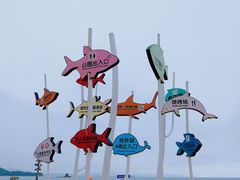 -大梅沙海滨公园