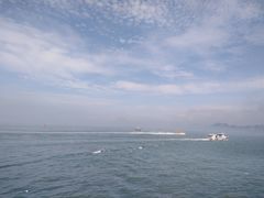 -演武大桥观景平台