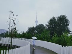 -中国宋庆龄青少年科技文化交流中心