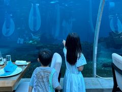 -涛·海底餐厅·美人鱼·自助餐·海底隧道(三亚海棠湾洲际度假酒店)