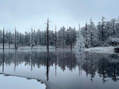 -瓦屋山景区