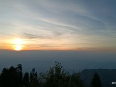 -武陵山森林公园