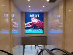 -盒马鲜生(财富中心店)
