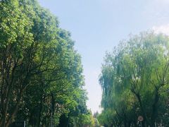 -太阳岛度假酒店