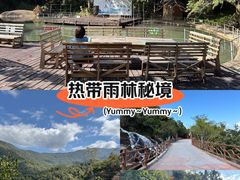 -霸王岭国家森林公园