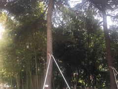-上海外国语大学(虹口校区)