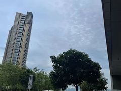 -SAANCI山池咖啡(海上世界文化艺术中心店)