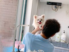 -宠颐生动物医院·心脏科·保险定点(锦阳分院)