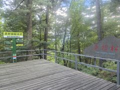 -五营红松林海景区